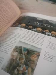 A History of Turkish Painting / Bez Ciltte Şömizli   Prestij Boy (YENİ)