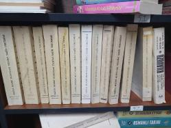 SAHİH-İ BUHARİ MUHTASARI TECRİD-İ SARİH TERCEMESİ VE ŞERHİ (12 CİLT +KILAVUZ) TAM TAKIM