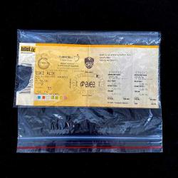 2008 Galatasaray Eski Ali Sami Yen Stadı Şampiyonluk Maçı Bileti