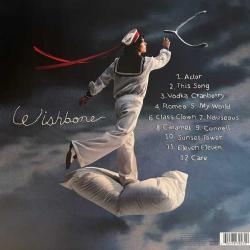 CONAN GRAY - WISHBONE BLACK CAT EDITION PLAK LP 2025