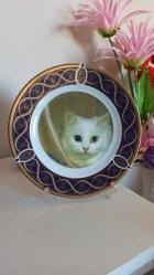 vintage Maghsoud porselen van kedisi desenli altın yaldızlı dekoratif tabak & 25 cm