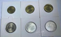 1991 Lira Lotu (6 Parça) Kapaması İçinde, Çil