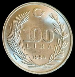 1988 100 Lira Çil 11g Büyük