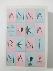 Anna Karenina Cilt 2