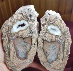 Druzy'li Taşlaşmış Ağaç Dilimi Petrified Wood: Renkli Bantlar - Ağırlık: 835g - Benzersiz Koleksiyonluk Nadir Parça Kütle