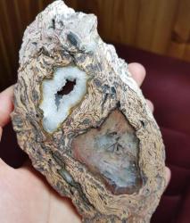 Druzy'li Taşlaşmış Ağaç Dilimi Petrified Wood: Renkli Bantlar - Ağırlık: 835g - Benzersiz Koleksiyonluk Nadir Parça Kütle