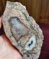 Druzy'li Taşlaşmış Ağaç Dilimi Petrified Wood: Renkli Bantlar - Ağırlık: 835g - Benzersiz Koleksiyonluk Nadir Parça Kütle
