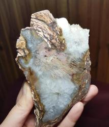 Druzy Taşlaşmış Ağaç Dilimi Petrified Wood: Renkli Akik Kırmızı Turuncu Bantlar (364g) - Benzersiz Koleksiyonluk Nadir Parça Kütle