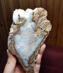 Druzy Taşlaşmış Ağaç Dilimi Petrified Wood: Renkli Akik Kırmızı Turuncu Bantlar (364g) - Benzersiz Koleksiyonluk Nadir Parça Kütle