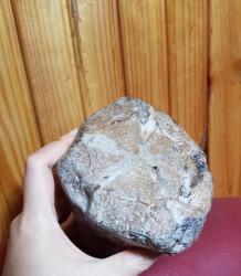 Büyük Taşlaşmış Akik Ağaç Parçası: Agatize Opalize Kütük (2518g) - Benzersiz Koleksiyonluk Nadir Parça Kütle