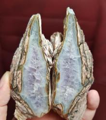 Petrified Wood Taşlaşmış Ahşap Levha: Druzy Ametist, Renkli Bantlar - Ağırlık: 256g - Benzersiz Koleksiyonluk Nadir Parça Kütle