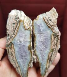 Petrified Wood Taşlaşmış Ahşap Levha: Druzy Ametist, Renkli Bantlar - Ağırlık: 256g - Benzersiz Koleksiyonluk Nadir Parça Kütle