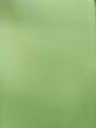 BEY' U ŞİRA RİSÂLESİ  -  Hamza ed-Dârendevî