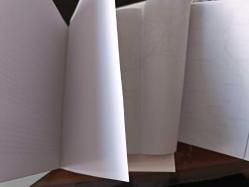 İlk Dünya Harbinde Kafkas Cephesi 29 Tümen ve 3 Alay Sancağı (Hatıralar) - Tıpkı Basım