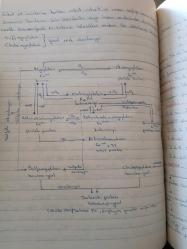 Resim Kimyası - Temize Çekilmiş Defter