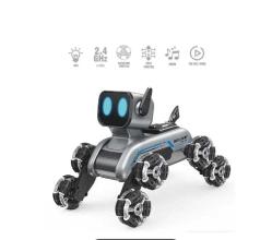 Mesiondy uzaktan kumandalı Robot köpek )