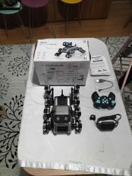 Mesiondy uzaktan kumandalı Robot köpek )