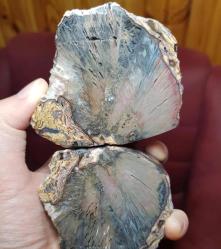 Renkli Bantlı Taşlaşmış Ağaç Çifti: Opalize Agat Taşı Petrified Wood - Ağırlık: 466g - Benzersiz Koleksiyonluk Nadir Parça Kütle