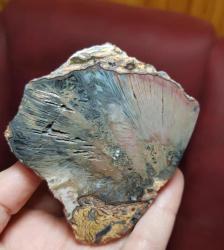 Renkli Bantlı Taşlaşmış Ağaç Çifti: Opalize Agat Taşı Petrified Wood - Ağırlık: 466g - Benzersiz Koleksiyonluk Nadir Parça Kütle