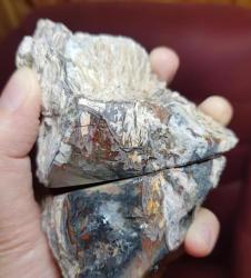 Renkli Bantlı Taşlaşmış Ağaç Çifti: Opalize Agat Taşı Petrified Wood - Ağırlık: 466g - Benzersiz Koleksiyonluk Nadir Parça Kütle