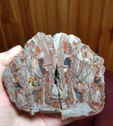 Rengarenk Taşlaşmış Ağaç Dilimi: Kırmızı Bantlı Opalize Petrified Wood Akik - Ağırlık: 522g - Benzersiz Koleksiyonluk Nadir Parça Kütle