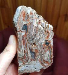 Rengarenk Taşlaşmış Ağaç Dilimi: Kırmızı Bantlı Opalize Petrified Wood Akik - Ağırlık: 522g - Benzersiz Koleksiyonluk Nadir Parça Kütle