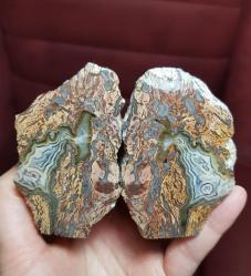 Kristalize Taşlaşmış Ağaç Çifti Kırmızı Bantlı Opalize Petrified Wood - Ağırlık: 385g - Benzersiz Koleksiyonluk Nadir Parça Kütle