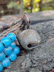 ESKİ ÇANLAR - KÖPEK TASMASI