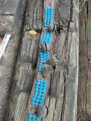 ESKİ ÇANLAR - KÖPEK TASMASI