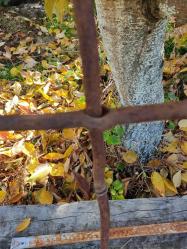 ÇOK YAŞLI PENCERE KORKULUĞU