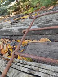 ÇOK YAŞLI PENCERE KORKULUĞU