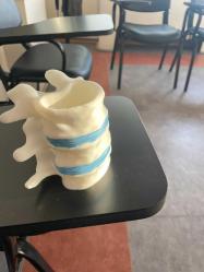 Vertabrae sağlıkçı kalemlik