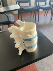 Vertabrae sağlıkçı kalemlik