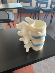 Vertabrae sağlıkçı kalemlik