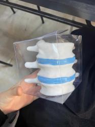 Vertabrae sağlıkçı kalemlik