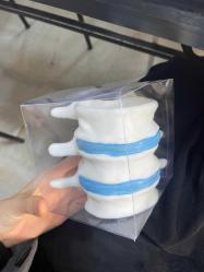 Vertabrae sağlıkçı kalemlik