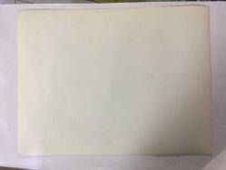 TÜRK HALK MÜZİĞİ SANATÇISI YILDIRAY ÇINAR'IN ORİJİNAL BÜYÜK BOY 2'Lİ FOTOĞRAF SETİ - 24 x 18 cm EBADINDA - YILDIRAY ÇINAR 3 GENÇ HANIMLA BİRLİKTE OTURUP SAZ ÇALARKEN ÇEKİLMİŞ 2 FARKLI KARE... ÖZEL ARŞİV