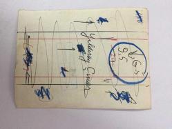 TÜRK HALK MÜZİĞİ SANATÇISI YILDIRAY ÇINAR'IN ORİJİNAL FOTOĞRAFI -12 x 9 cm EBADINDA - YILDIRAY ÇINAR KADRAJA POZ VERİRKEN ÇEKİLMİŞ BİR KARE