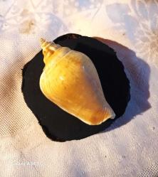 MAGNET MİNARE KABUĞU AHŞAP EL İŞİ.