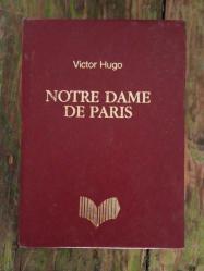 Notre Dame'ın Kamburu 1. KİTAP