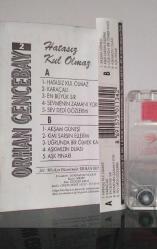 Orhan Gencebay Hatasız Kul Olmaz