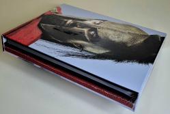 300 EXCLUSIVE SPECIAL COLLECTIBLE PACK Versiyonu