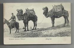 İZMİR'İN MEŞHUR DEVE KERVANI TEMALI KARTPOSTAL...