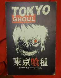 TOKYOGUL DUVARA ASMALIK LEVHA POSTER