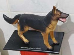 Alman kurt köpeği dekor tasarım koleksiyon biblo iç organlar iskelet sistemi anatomi 25 cm civarı