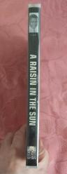 A Raisin in the Sun, DVD