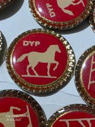 DYP Doğruyol Partisi - Akrilik rozet 1 adet