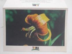 TEMA VAKFI KARTPOSTAL  ( Foto:  FATİH ORBAY ) Süreyya r. Baltan'dan notlu