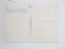 SALUTI DALL'ETNA POSTCARD ( ETNA KARTPOSTAL )