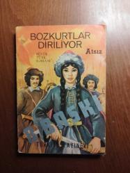 BOZKURTLAR DİRİLİYOR - BÜYÜK TÜRK ROMANI - 8. BASKI